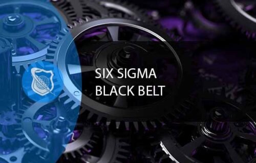 Six Sigma Black Belt Training