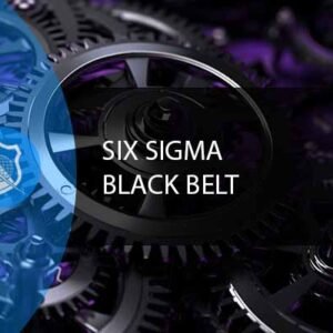 Six Sigma Black Belt Training