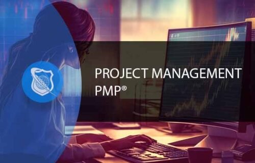 Project Management Professional